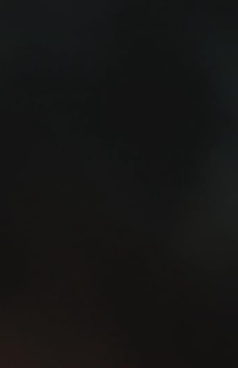 Wicked Duck Abstract